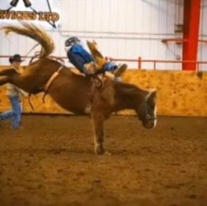 Meet your Posher, Calvin